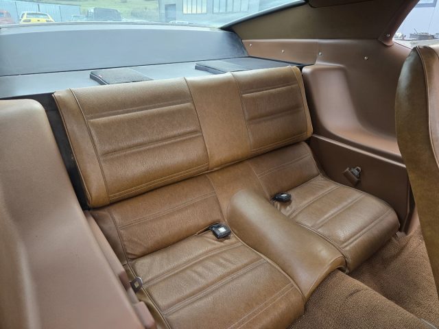 Ford Mustang Mach 1 1973 -351C Cobra Jet — zdjęcie 13